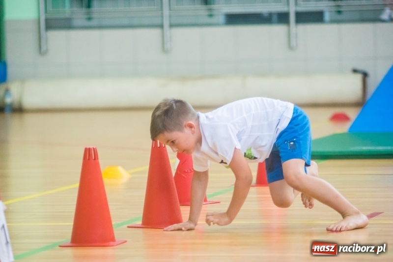 Zdjęcie w galerii na portalu naszraciborz.pl: Gimnastyczny tor przeszkód i pokaz umiejętności akrobatycznych w Arenie Rafako [FOTO i WIDEO] wiadomości z regionu
