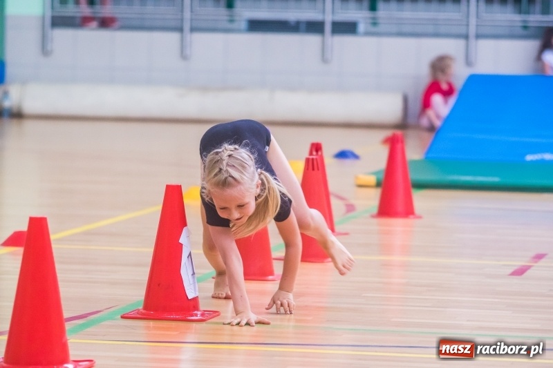 Zdjęcie w galerii na portalu naszraciborz.pl: Gimnastyczny tor przeszkód i pokaz umiejętności akrobatycznych w Arenie Rafako [FOTO i WIDEO] wiadomości z regionu