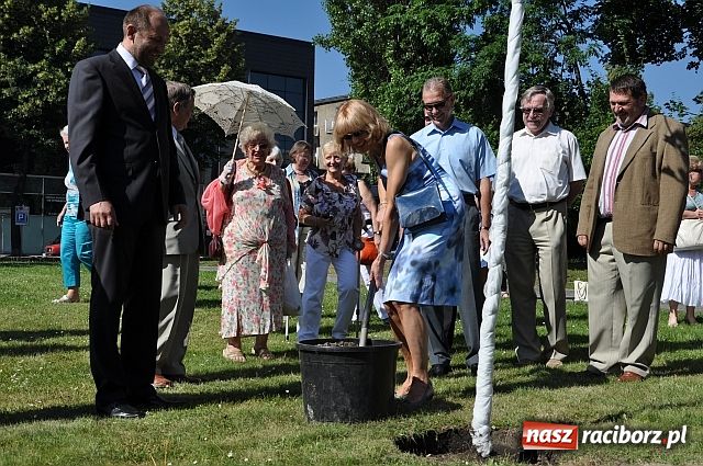Zdjęcie w galerii na portalu naszraciborz.pl: TMZR ma swoje drzewo wiadomości z regionu