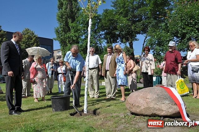 Zdjęcie w galerii na portalu naszraciborz.pl: TMZR ma swoje drzewo wiadomości z regionu