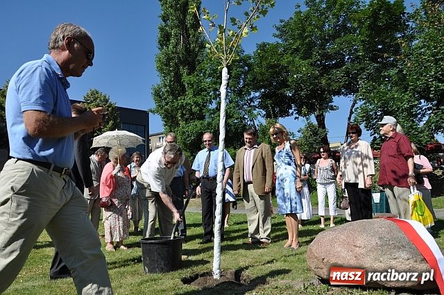 Zdjęcie w galerii na portalu naszraciborz.pl: TMZR ma swoje drzewo wiadomości z regionu