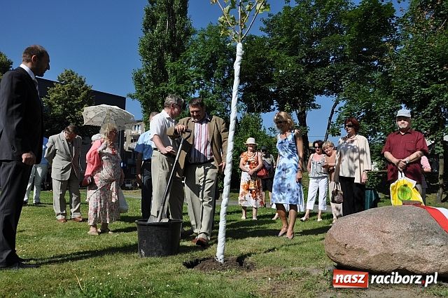Zdjęcie w galerii na portalu naszraciborz.pl: TMZR ma swoje drzewo wiadomości z regionu