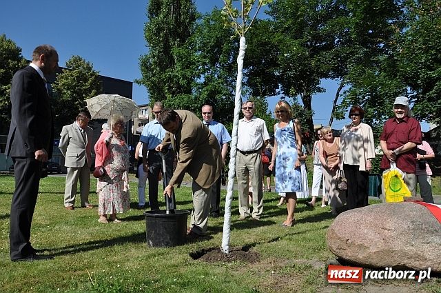 Zdjęcie w galerii na portalu naszraciborz.pl: TMZR ma swoje drzewo wiadomości z regionu