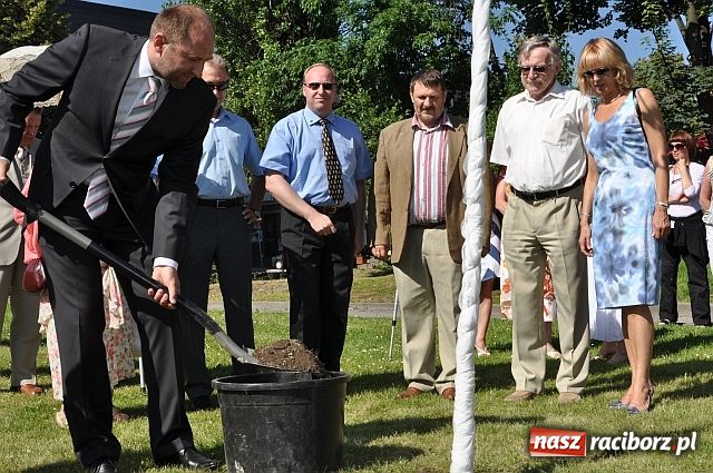Zdjęcie w galerii na portalu naszraciborz.pl: TMZR ma swoje drzewo wiadomości z regionu