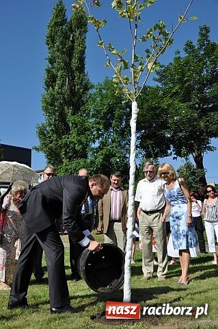 Zdjęcie w galerii na portalu naszraciborz.pl: TMZR ma swoje drzewo wiadomości z regionu