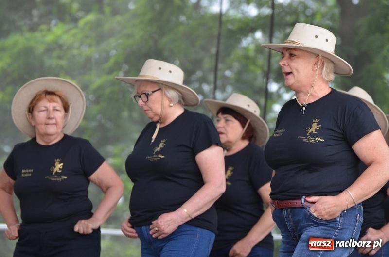 Zdjęcie w galerii na portalu naszraciborz.pl: Tańce, muzyka i VIP-y. Powiat świętował na zamku [FOTO] wiadomości z regionu