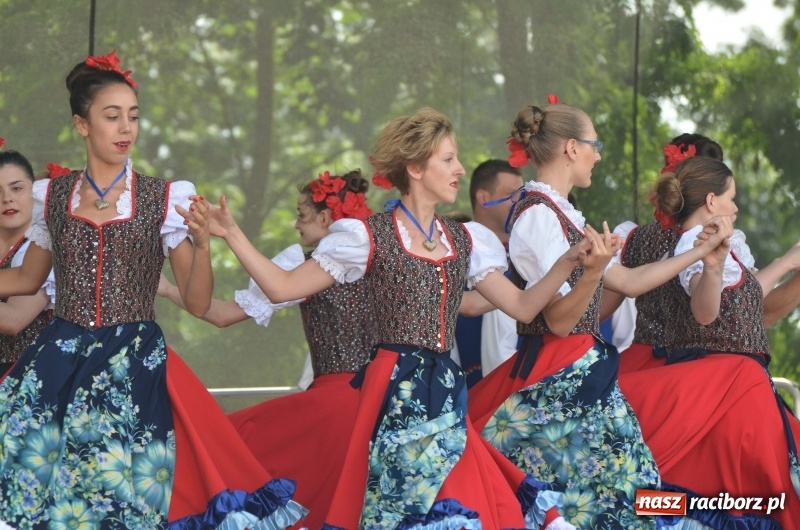 Zdjęcie w galerii na portalu naszraciborz.pl: Tańce, muzyka i VIP-y. Powiat świętował na zamku [FOTO] wiadomości z regionu