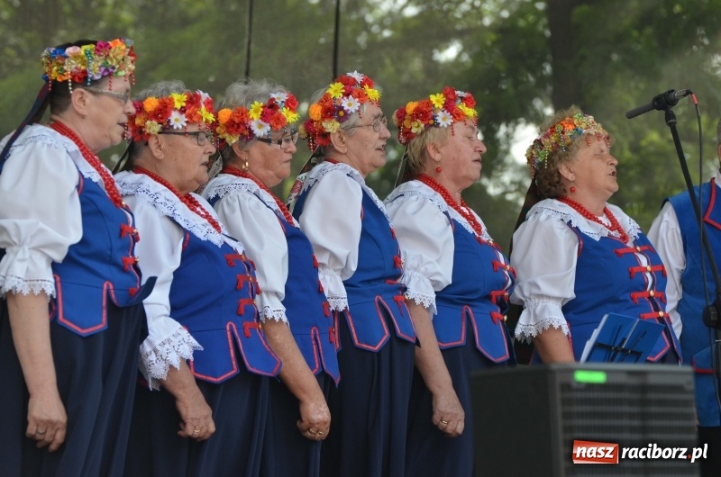 Zdjęcie w galerii na portalu naszraciborz.pl: Tańce, muzyka i VIP-y. Powiat świętował na zamku [FOTO] wiadomości z regionu
