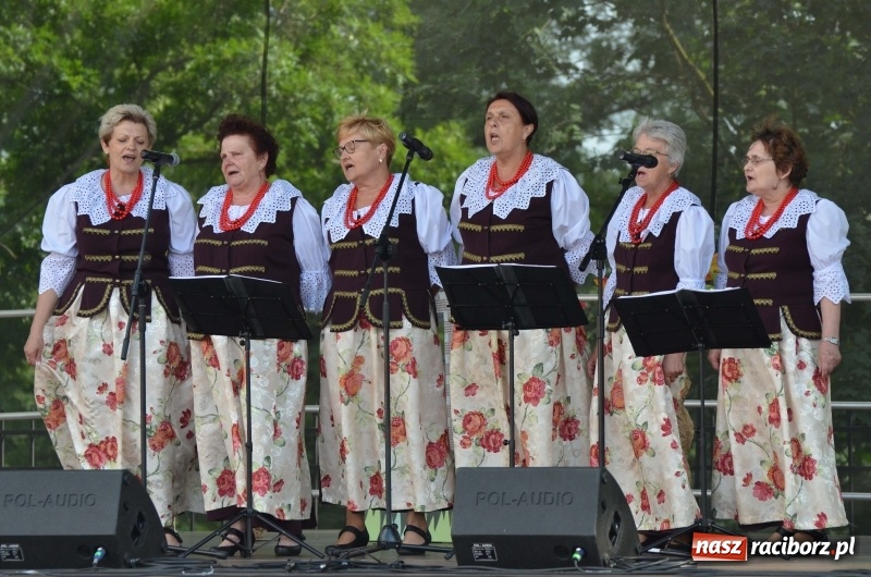 Zdjęcie w galerii na portalu naszraciborz.pl: Tańce, muzyka i VIP-y. Powiat świętował na zamku [FOTO] wiadomości z regionu