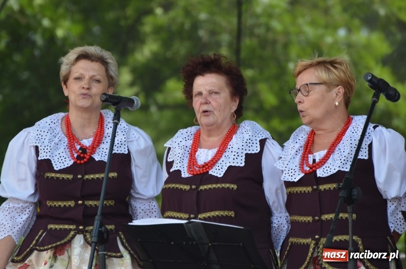 Zdjęcie w galerii na portalu naszraciborz.pl: Tańce, muzyka i VIP-y. Powiat świętował na zamku [FOTO] wiadomości z regionu