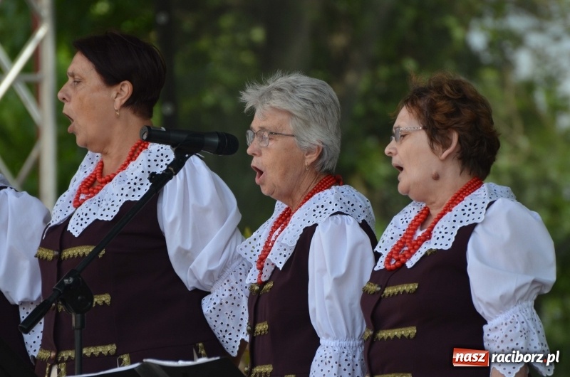 Zdjęcie w galerii na portalu naszraciborz.pl: Tańce, muzyka i VIP-y. Powiat świętował na zamku [FOTO] wiadomości z regionu