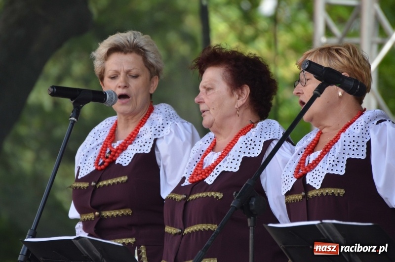 Zdjęcie w galerii na portalu naszraciborz.pl: Tańce, muzyka i VIP-y. Powiat świętował na zamku [FOTO] wiadomości z regionu