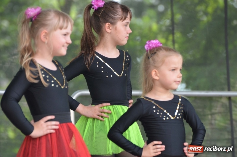 Zdjęcie w galerii na portalu naszraciborz.pl: Tańce, muzyka i VIP-y. Powiat świętował na zamku [FOTO] wiadomości z regionu