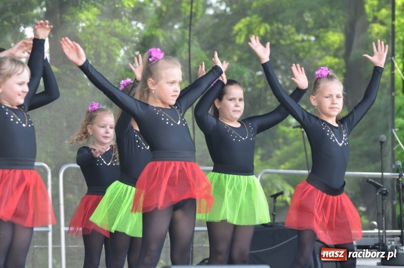 Zdjęcie w galerii na portalu naszraciborz.pl: Tańce, muzyka i VIP-y. Powiat świętował na zamku [FOTO] wiadomości z regionu