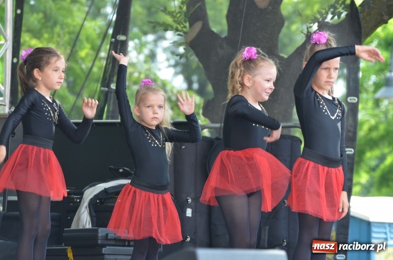 Zdjęcie w galerii na portalu naszraciborz.pl: Tańce, muzyka i VIP-y. Powiat świętował na zamku [FOTO] wiadomości z regionu