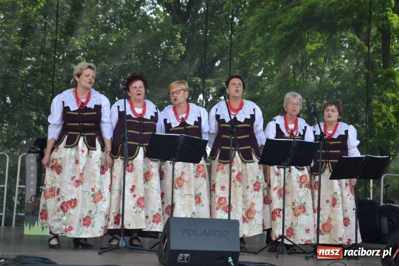 Zdjęcie w galerii na portalu naszraciborz.pl: Tańce, muzyka i VIP-y. Powiat świętował na zamku [FOTO] wiadomości z regionu