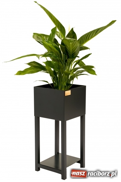 Zdjęcie w galerii na portalu naszraciborz.pl: BraunMebel - od mebli szkolnych do potentata produkcyjnego w regionie wiadomości z regionu