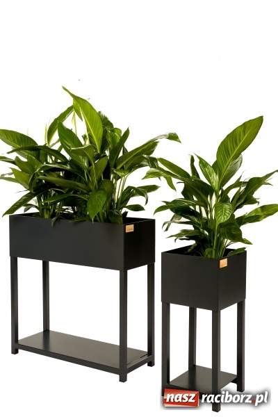 Zdjęcie w galerii na portalu naszraciborz.pl: BraunMebel - od mebli szkolnych do potentata produkcyjnego w regionie wiadomości z regionu