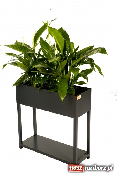 Zdjęcie w galerii na portalu naszraciborz.pl: BraunMebel - od mebli szkolnych do potentata produkcyjnego w regionie wiadomości z regionu