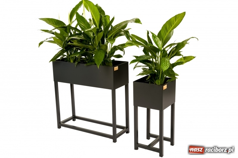 Zdjęcie w galerii na portalu naszraciborz.pl: BraunMebel - od mebli szkolnych do potentata produkcyjnego w regionie wiadomości z regionu