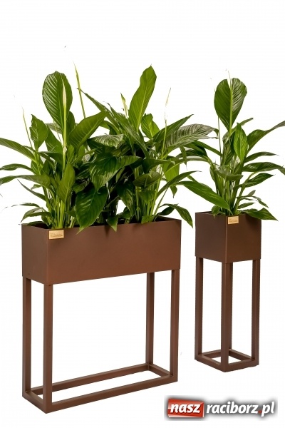 Zdjęcie w galerii na portalu naszraciborz.pl: BraunMebel - od mebli szkolnych do potentata produkcyjnego w regionie wiadomości z regionu