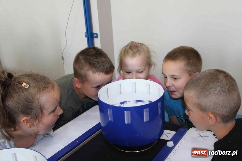 Zdjęcie w galerii na portalu naszraciborz.pl: Naukobus z Kopernika w Szkole na Ostrogu wiadomości z regionu