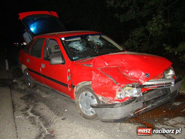 Zdjęcie w galerii na portalu naszraciborz.pl: Po wypadku uciekli z tablicami w las wiadomości z regionu