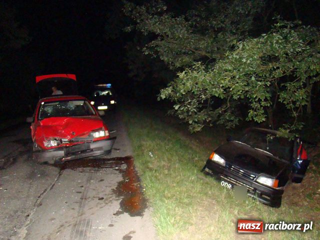 Zdjęcie w galerii na portalu naszraciborz.pl: Po wypadku uciekli z tablicami w las wiadomości z regionu