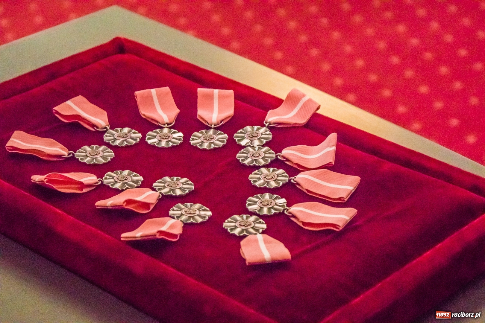 Zdjęcie w galerii na portalu naszraciborz.pl: Raz na wozie, raz pod wozem. Złote gody w raciborskim USC [FOTO i WIDEO] wiadomości z regionu