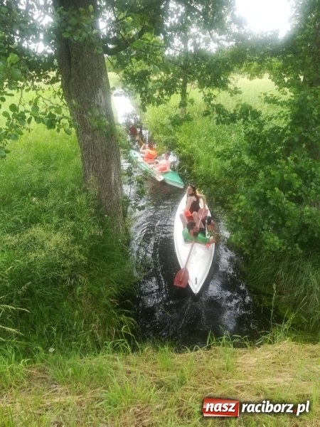 Zdjęcie w galerii na portalu naszraciborz.pl: W trzy lata dookoła świata. Studiuj turystykę w Raciborzu. Połącz pracę z nauką  wiadomości z regionu