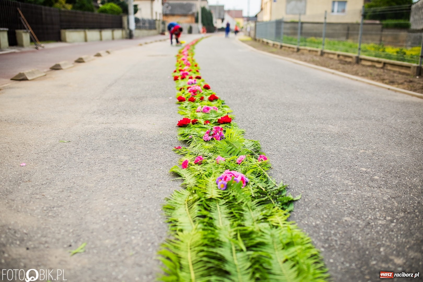Zdjęcie w galerii na portalu naszraciborz.pl: Racibórz pięknie ustrojony na Boże Ciało [FOTO i WIDEO] wiadomości z regionu