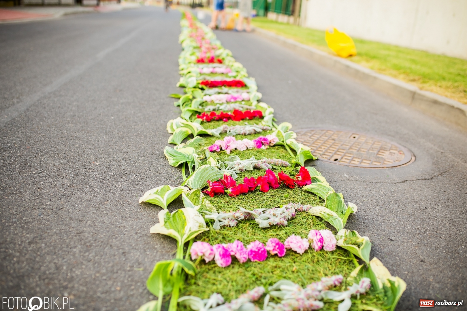 Zdjęcie w galerii na portalu naszraciborz.pl: Racibórz pięknie ustrojony na Boże Ciało [FOTO i WIDEO] wiadomości z regionu