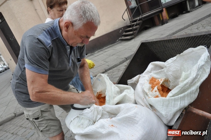 Zdjęcie w galerii na portalu naszraciborz.pl: Racibórz pięknie ustrojony na Boże Ciało [FOTO i WIDEO] wiadomości z regionu
