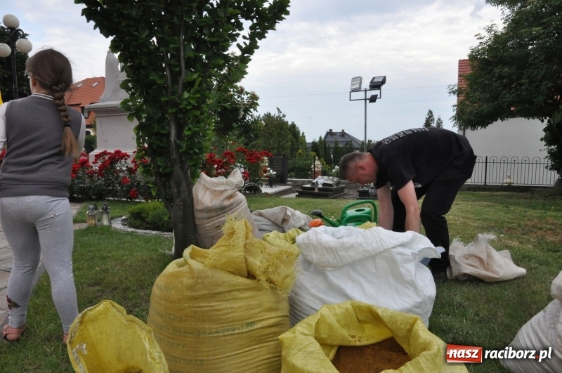 Zdjęcie w galerii na portalu naszraciborz.pl: W Brzeziu przygotowali prawdziwe arcydzieła. Obejrzeć przyjechała nawet TVP [FOTO] wiadomości z regionu