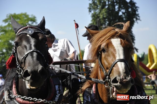 Zdjęcie w galerii na portalu naszraciborz.pl: Gospodarze zgarnęli wszystko wiadomości z regionu
