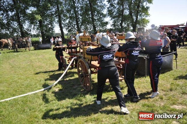 Zdjęcie w galerii na portalu naszraciborz.pl: Gospodarze zgarnęli wszystko wiadomości z regionu