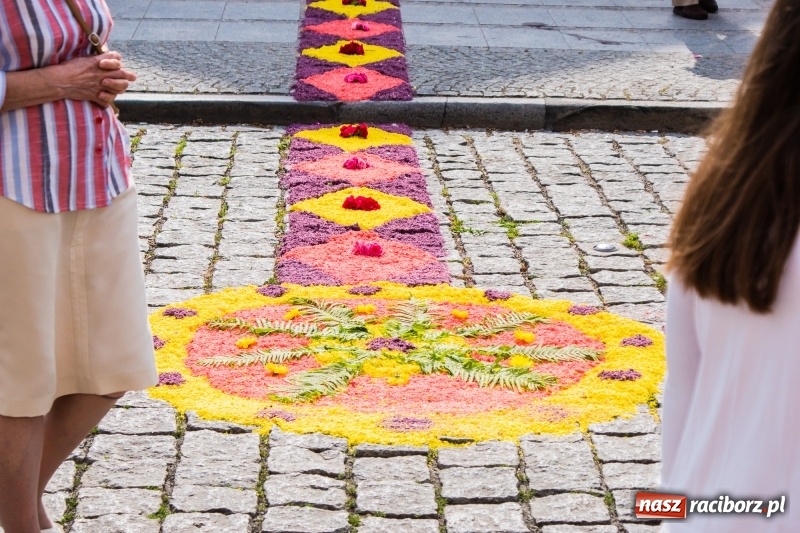 Zdjęcie w galerii na portalu naszraciborz.pl: Procesja Bożego Ciała na starym mieście [FOTO i WIDEO] wiadomości z regionu