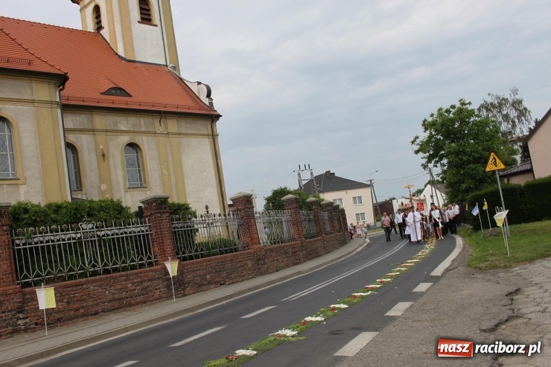 Zdjęcie w galerii na portalu naszraciborz.pl: Wojnowice. Pierwsze dywany pojawiły się tuż po czwartej rano  wiadomości z regionu