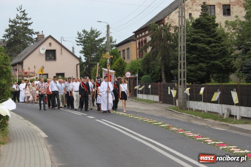 Zdjęcie w galerii na portalu naszraciborz.pl: Wojnowice. Pierwsze dywany pojawiły się tuż po czwartej rano  wiadomości z regionu