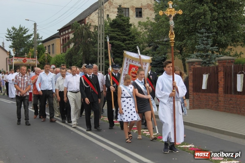 Zdjęcie w galerii na portalu naszraciborz.pl: Wojnowice. Pierwsze dywany pojawiły się tuż po czwartej rano  wiadomości z regionu