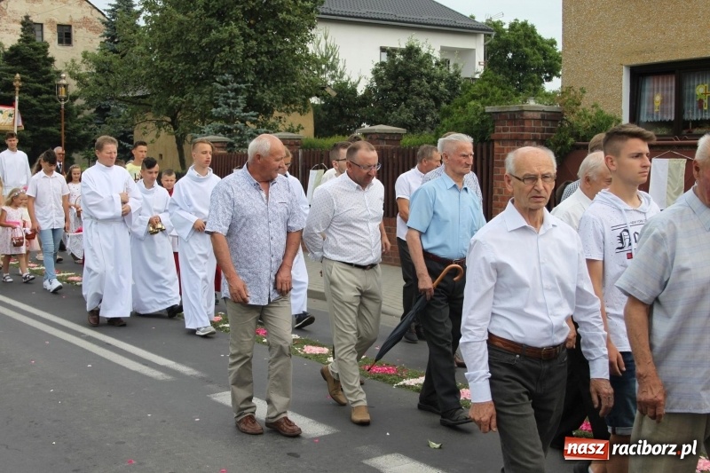 Zdjęcie w galerii na portalu naszraciborz.pl: Wojnowice. Pierwsze dywany pojawiły się tuż po czwartej rano  wiadomości z regionu
