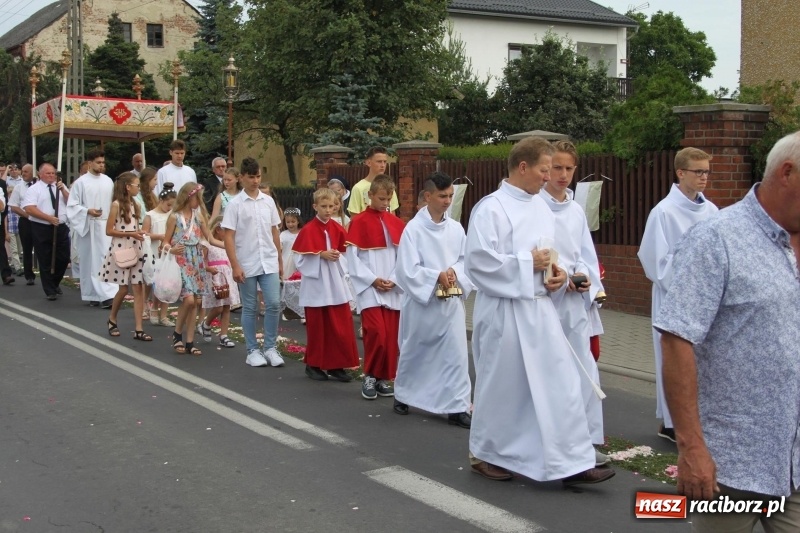 Zdjęcie w galerii na portalu naszraciborz.pl: Wojnowice. Pierwsze dywany pojawiły się tuż po czwartej rano  wiadomości z regionu
