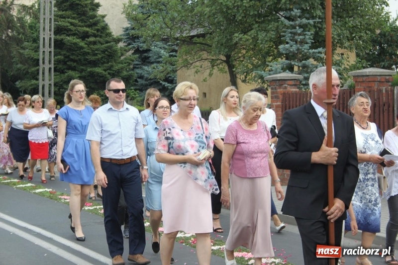 Zdjęcie w galerii na portalu naszraciborz.pl: Wojnowice. Pierwsze dywany pojawiły się tuż po czwartej rano  wiadomości z regionu