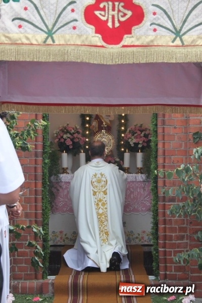 Zdjęcie w galerii na portalu naszraciborz.pl: Wojnowice. Pierwsze dywany pojawiły się tuż po czwartej rano  wiadomości z regionu