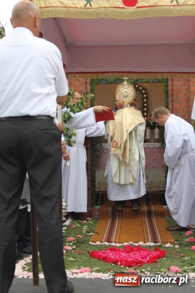 Zdjęcie w galerii na portalu naszraciborz.pl: Wojnowice. Pierwsze dywany pojawiły się tuż po czwartej rano  wiadomości z regionu