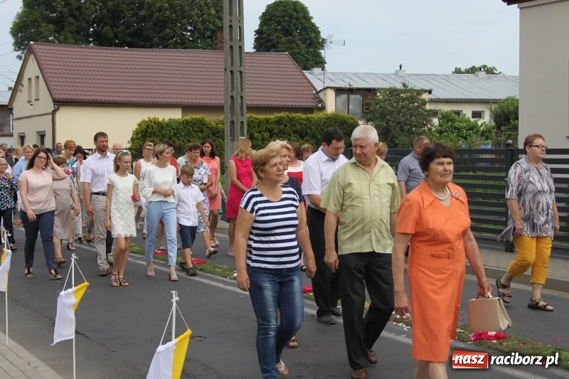 Zdjęcie w galerii na portalu naszraciborz.pl: Wojnowice. Pierwsze dywany pojawiły się tuż po czwartej rano  wiadomości z regionu