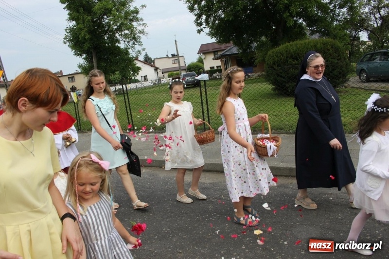 Zdjęcie w galerii na portalu naszraciborz.pl: Wojnowice. Pierwsze dywany pojawiły się tuż po czwartej rano  wiadomości z regionu