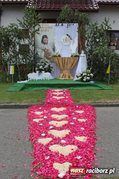 Zdjęcie w galerii na portalu naszraciborz.pl: Wojnowice. Pierwsze dywany pojawiły się tuż po czwartej rano  wiadomości z regionu