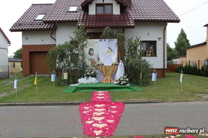 Zdjęcie w galerii na portalu naszraciborz.pl: Wojnowice. Pierwsze dywany pojawiły się tuż po czwartej rano  wiadomości z regionu