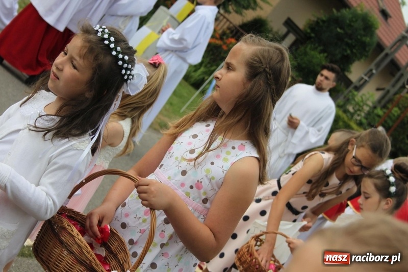 Zdjęcie w galerii na portalu naszraciborz.pl: Wojnowice. Pierwsze dywany pojawiły się tuż po czwartej rano  wiadomości z regionu